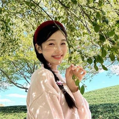 冰上动物宝宝
